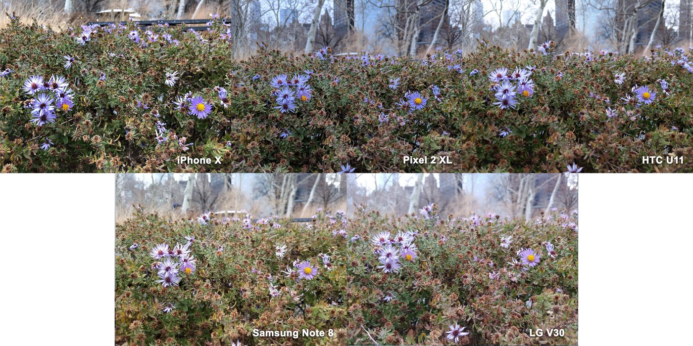 Compare the best photography smartphones in 2017 Picture 11