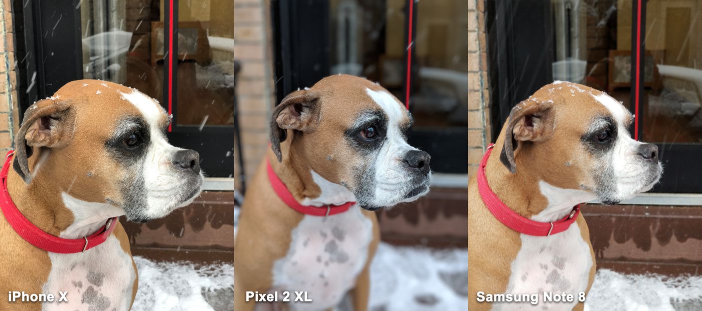 Compare the best photography smartphones in 2017 Picture 14