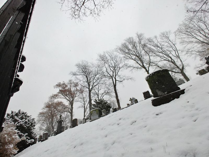 Compare the best photography smartphones in 2017 Picture 17