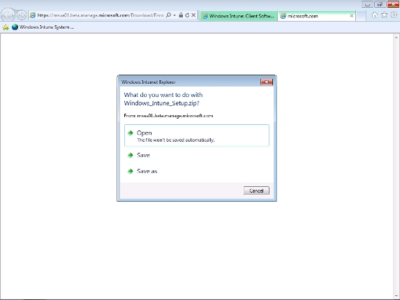 Computer management with Windows Intune - Part 2: Prepare the environment Picture 3
