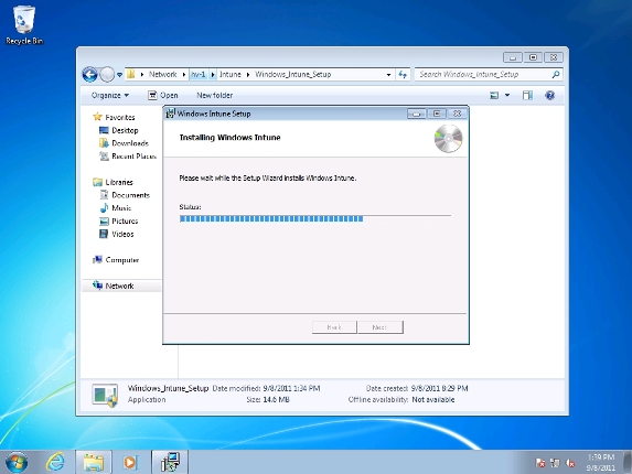 Computer management with Windows Intune - Part 2: Prepare the environment Picture 8