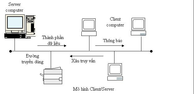 Computer network models - TipsMake.com