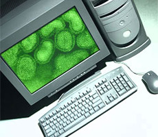 Computer virus: 20 years look back Picture 1