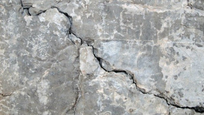 Concrete uses fungi to fill cracks Picture 1