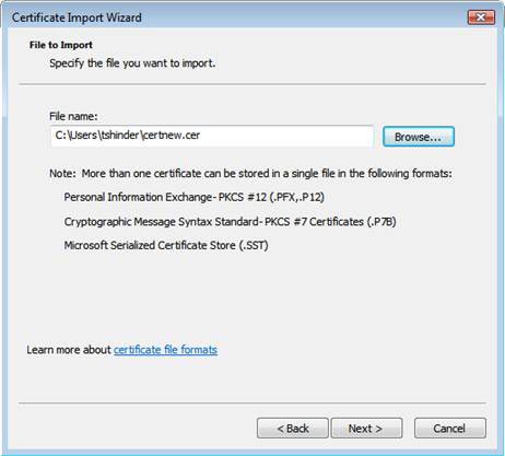 Configure Windows Server 2008 to remotely access SSL VPN Server (Part 4) Picture 9