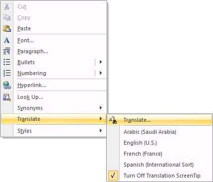 Conquer Word 2007 (Term 4) Picture 10