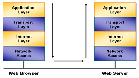 Content of SCNP certificate curriculum Picture 1