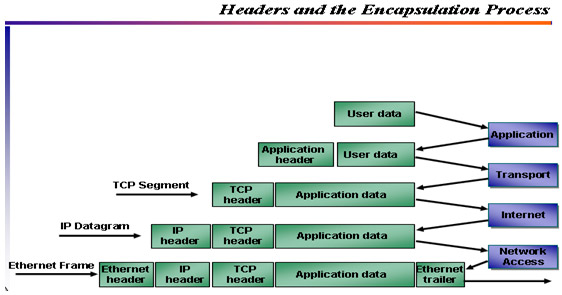 Content of SCNP certificate curriculum Picture 3