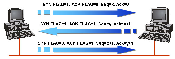 Content of SCNP certificate curriculum Picture 8