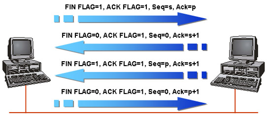 Content of SCNP certificate curriculum Picture 9