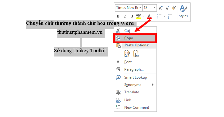 Convert lowercase to uppercase in Word, Excel Picture 5