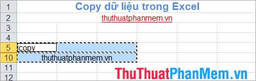 Copy, copy data in Excel Picture 13