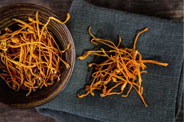 Cordyceps what cure? Picture 4