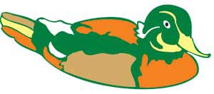 Corel Draw 12: Draw the ducklings swimming Picture 3