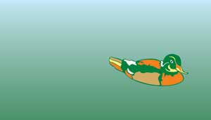 Corel Draw 12: Draw the ducklings swimming Picture 5