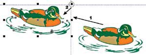 Corel Draw 12: Draw the ducklings swimming Picture 7