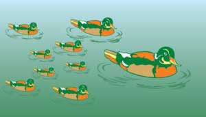 Corel Draw 12: Draw the ducklings swimming Picture 8