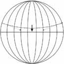 Corel Draw 12: Draw the globe Picture 3