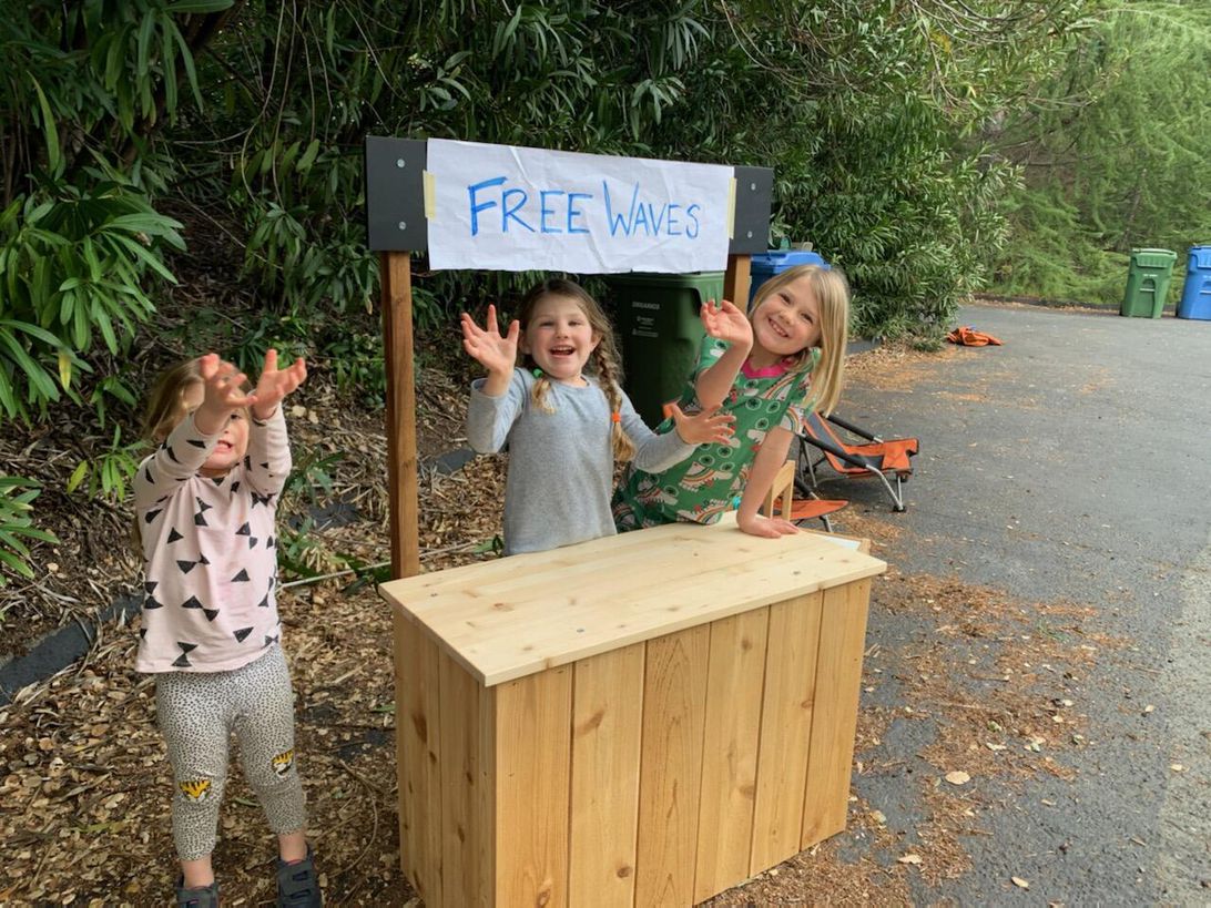 Coronavirus chronicles: Here's some good news amid the dire reports Picture 4