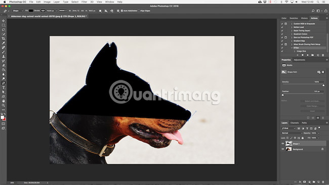 Create and work with vector graphics in Photoshop Picture 16