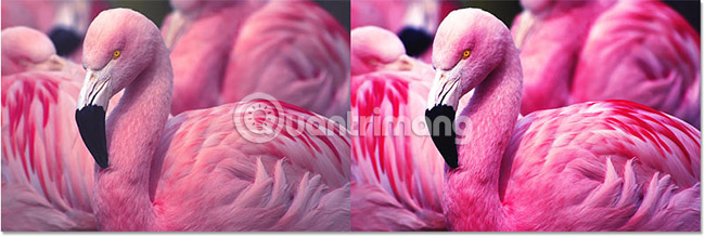 Create contrast in Photoshop Picture 16