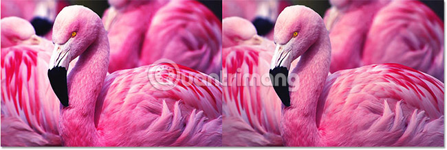 Create contrast in Photoshop Picture 18