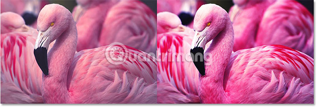 Create contrast in Photoshop Picture 20