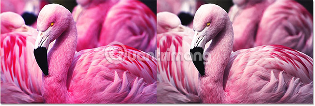 Create contrast in Photoshop Picture 22