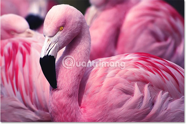 Create contrast in Photoshop Picture 26