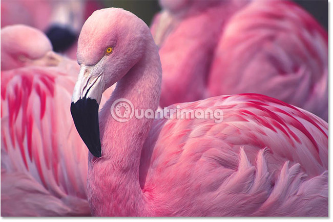 Create contrast in Photoshop Picture 9