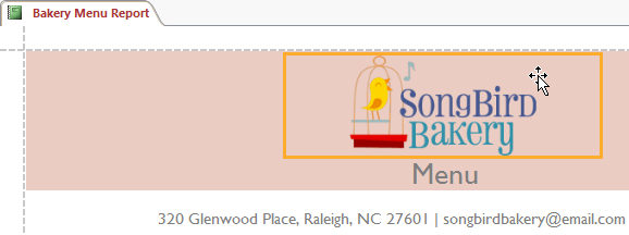 Create reports in Access 2016 and use advanced reporting options Picture 35