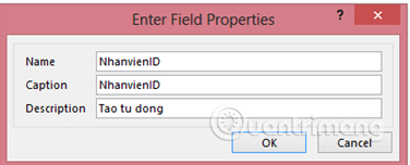 Create Table (Table) in Access 2016 Picture 4