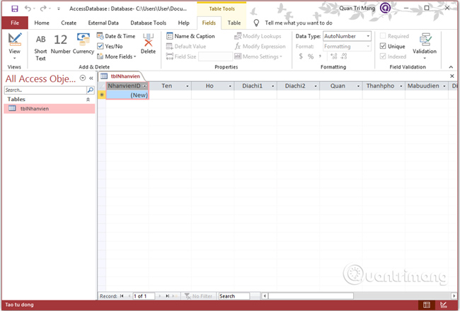 Create Table (Table) in Access 2016 Picture 9