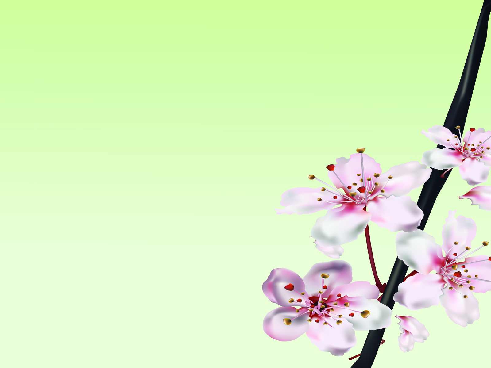 Cute Powerpoint Wallpaper Collection Of Cute Backgrounds For Powerpoint Slide