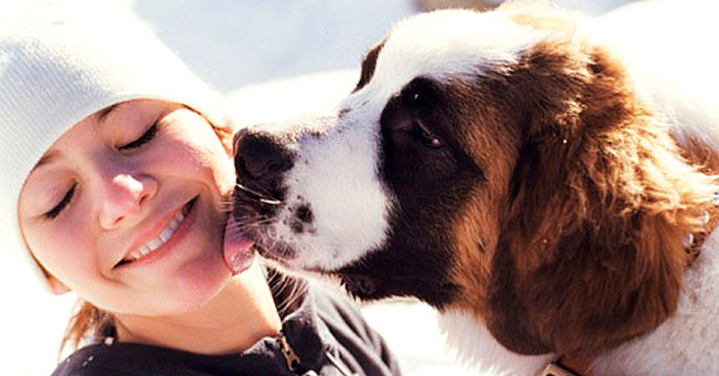 Decipher the strange behavior often seen in dogs Picture 4