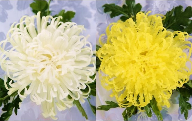 Decorate the Mid-Autumn fruit tray with roses, chrysanthemum, water lily made from super beautiful papaya Picture 11