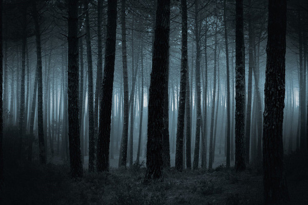 Deep web and surprises come unexpectedly Picture 3