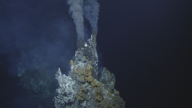 Deep-water fish use hydrothermal vents to hatch eggs Picture 1