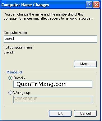 Deploy Domain System On Windows Server 2003 Active Directory Picture 5