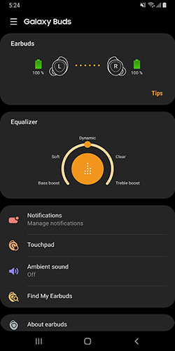 Detailed review of Samsung Galaxy Buds Picture 6