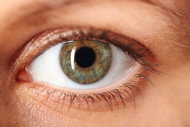 Detecting foreign genes can cause visual impairment in middle age Picture 1