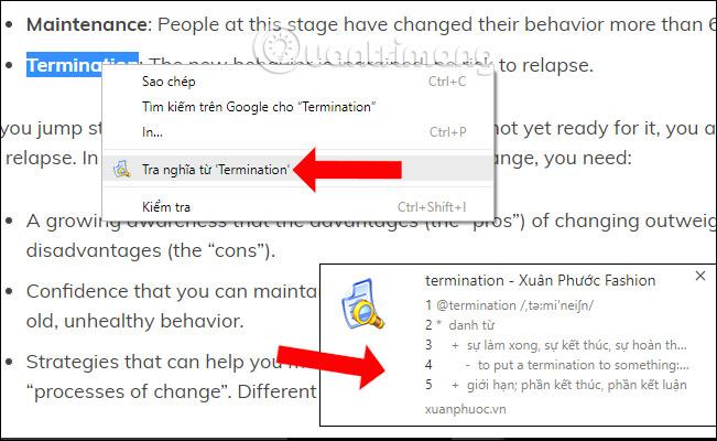 Dictionary search utilities on Chrome should not be ignored Picture 9