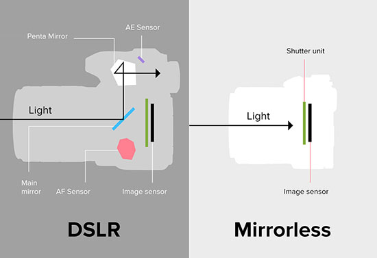 Differences between two types of DSLR and Mirrorless cameras Picture 6