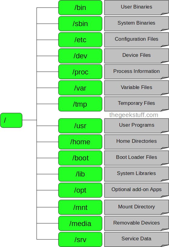Directory tree structure in Linux Picture 1