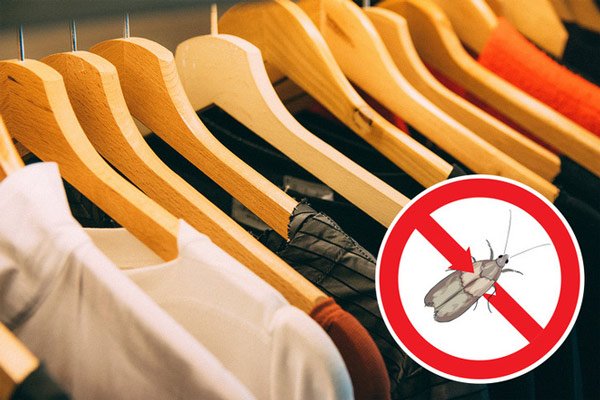 Discover 10 technology secrets hidden under the guise of extremely ordinary things Picture 10