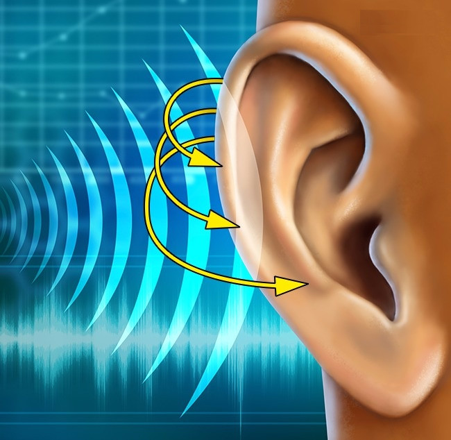 Discover 6 indispensable mysterious parts on the body Picture 2