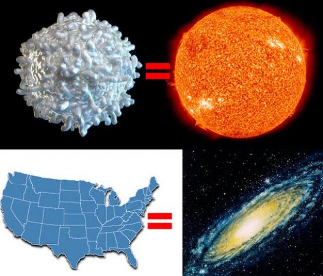 Discover incredible facts about our cosmic planet Picture 17