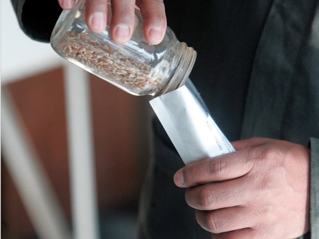 Discover inside the 'apocalyptic underground', the place that holds the seeds of mankind Picture 18