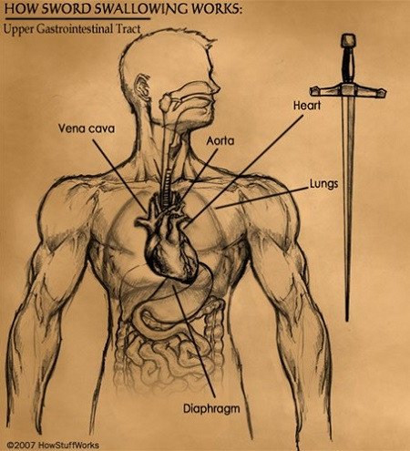 Discover the secret behind the 'horror' sword swallowing magic Picture 3