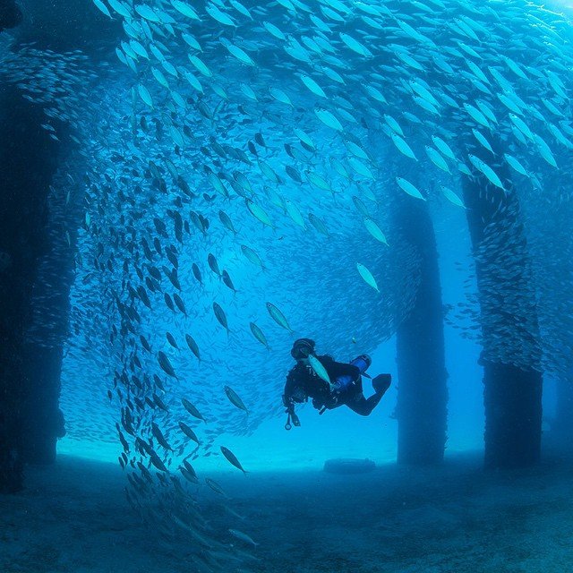 Discover these paradise islands in 2017, you'll get $ 300 Picture 6